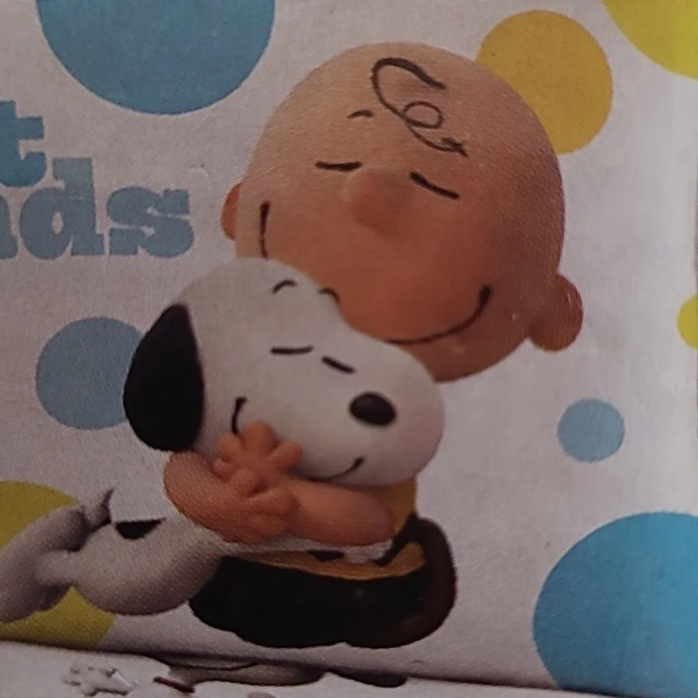 Blue Sky The Peanuts Movie Twin Sheet Set Woodstock Charlie Brown Snoopy Single
